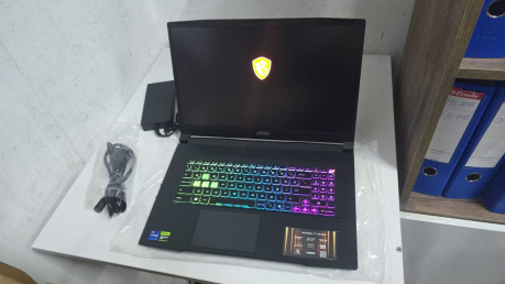 MSI KATANA 17 HX B14WFK-217TR I9-14900HX N(OUTLET)