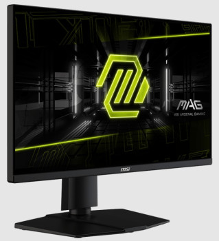 24.5 MSI MAG 255PXF 0.5MS 300HZ GTG FHD FLAT IPS