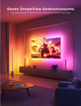 GOVEE ENVISUAL LED 3 LITE 40-50INC - H60973D1